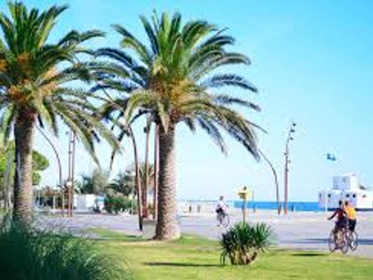 Pavillon Climatise Avec Terrasse, 10 Min. De La Plage, Parking Privatif Inclus, Tout Confort - Fr-1-732-45 Argelès-sur-Mer Exteriör bild